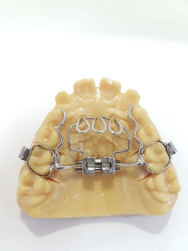 WhatsApp Image 2019-02-06 at 13.53.51 (1)